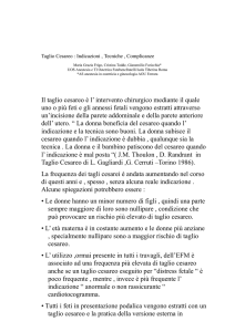 CAPITOLO 12 Il Taglio Cesareo - (1).docx