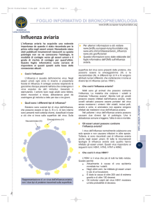 L`influenza aviaria - European Lung Foundation