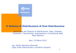 Il Sistema di Distribuzione di Enel Distribuzione