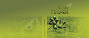 Tecniche di produzione in olivicoltura