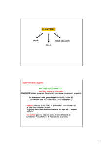 EUBATTERI