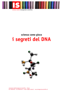 i segreti del DNA - Immaginario Scientifico