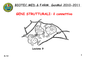 09_biotec_genmol_10_11__strutturali