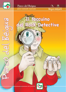 Il taccuino del Rock Detective