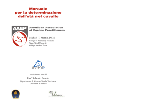 Manuale per la determinazione dell`età nel cavallo