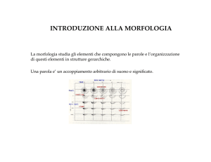 introduzione alla morfologia