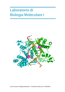 Dispensa e protocollo - Corso di Biologia Molecolare 2