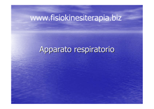 Apparato respiratorio www.fisiokinesiterapia.biz