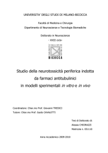 Riassunto e scopo del lavoro