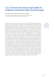 2.2.2 Consumo di cocaina negli adulti: le evidenze