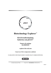 Biotechnology Explorer™ Kit di trasformazione batterica - Bio-Rad