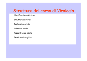 Diapositiva 1 - MESTRE 1 anno