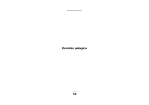 16-q16_pelagico1