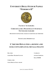 L`Arundo donax per la bonifica dei suoli contaminati da