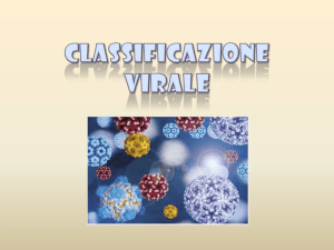 3-Classificazione virus