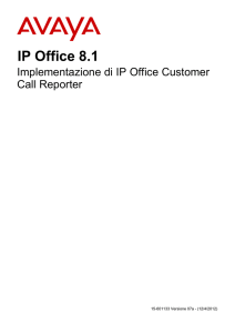 Implementazione di IP Office Customer Call Reporter