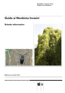 Guida ai neobiota invasivi Schede informative