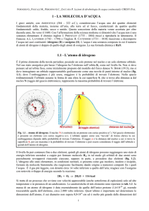 1 - LA MOLECOLA D`ACQUA 1.1 - L`atomo di idrogeno