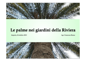 Le palme in Riviera