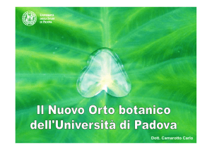 Dott. Camarotto Carlo - Orti botanici Italia