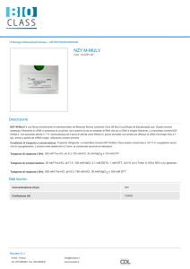 Stampa PDF - Bioclass Srl