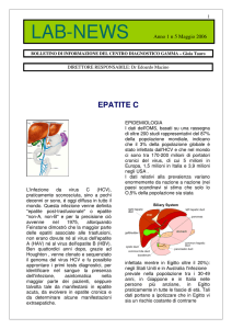 epatite c - CENTRO DIAGNOSTICO GAMMA