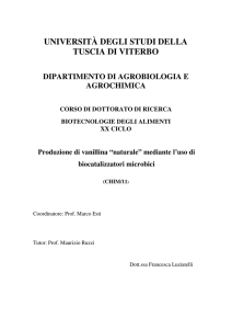 università degli studi della tuscia di viterbo