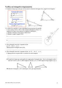 Verifica sui triangoli in trigonometria