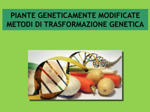 piante geneticamente modificate metodi di