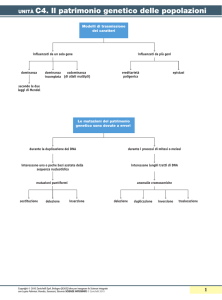Il patrimonio genetico delle popolazioni