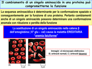 Presentazione genetica I [formato PDF]