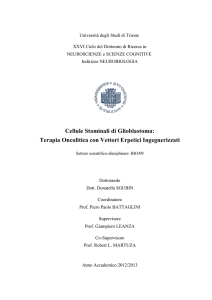 TESI DOTTORATO SGUBIN_FINAL - OpenstarTs