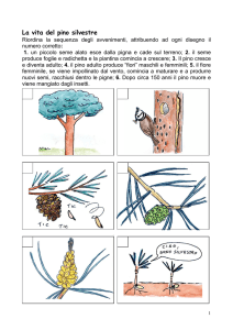 Una vita da vegetale