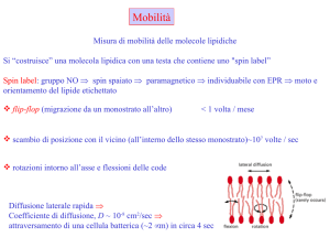 Mobilità