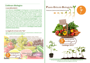 Piante Orticole Biologiche