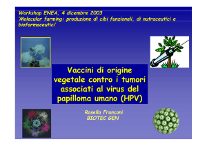 Vaccini di origine vegetale contro i tumori associati al virus del