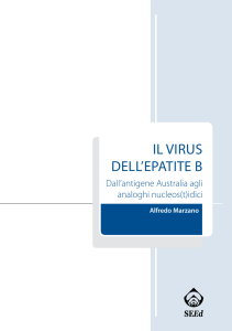 Il vIrus dell`epatIte B