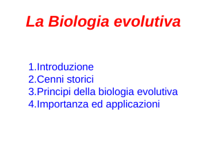 Diapositiva 1 - Liceo Rodolico