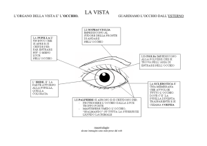 5 LA VISTA