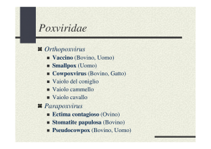 Poxviridae