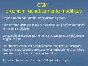 OGM - e-learning