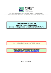 DESCRIVERE IL BOSCO e CLASSIFICARE GLI ALBERI