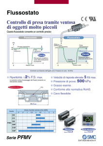 Flussostato