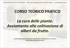 Link alle slides - Frutteto di Vezzolano