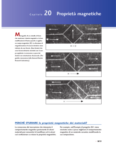 Capitolo 20 Proprietà magnetiche