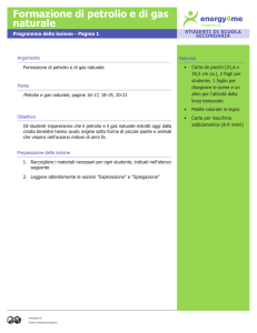 Formazione di petrolio e di gas naturale