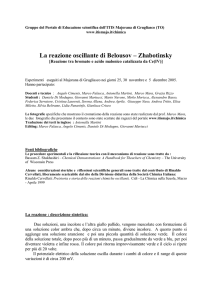 2005 Reazione oscillante Belousov Zhapotinsky