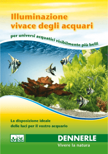 Trocal - RareAquaticPlants