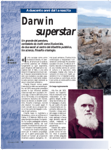 Darwin superstar
