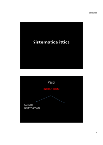 Sistematica ittica 2015_r.pptx